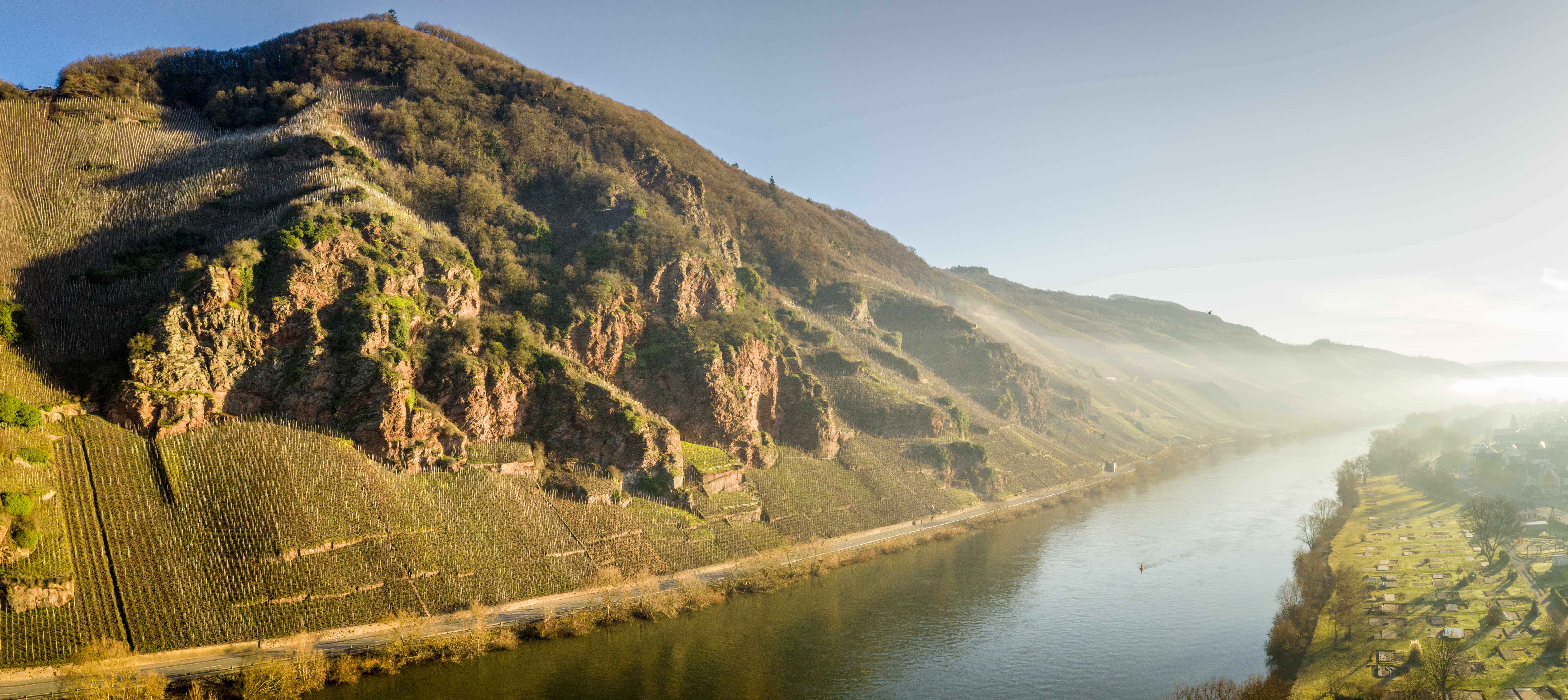 Blick auf die steilen Weinberge der Weinlage Erdener Treppchen